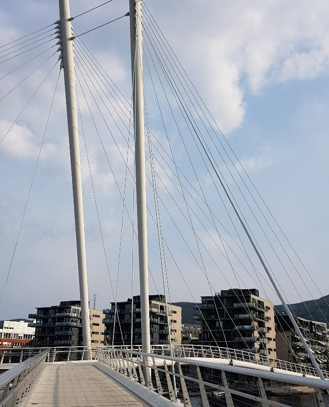 Ypsilon Bridge-德拉门必去景点