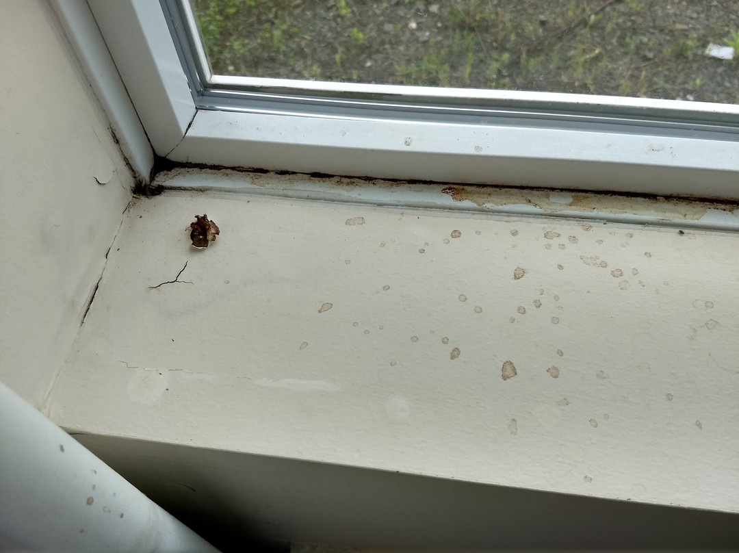 Apalachin Hotel主图