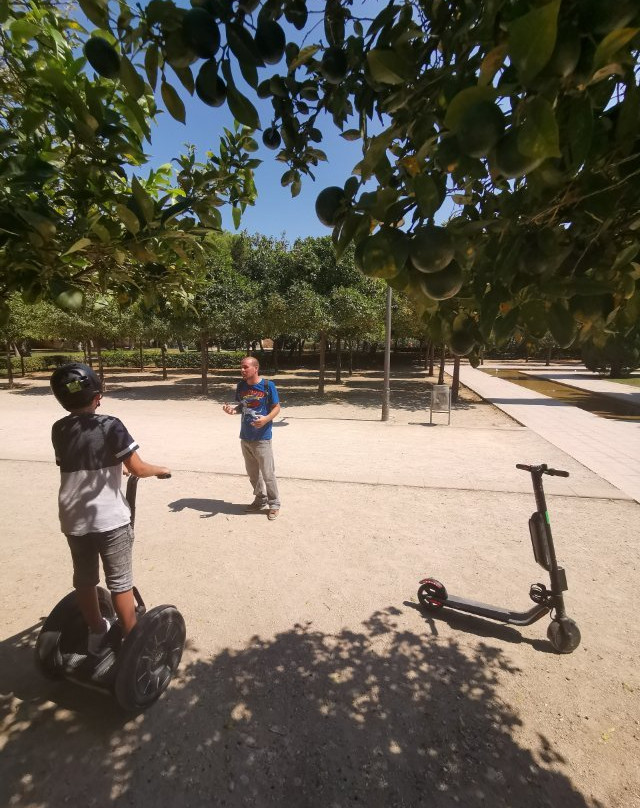 Segway Trip Valencia-巴伦西亚必去景点