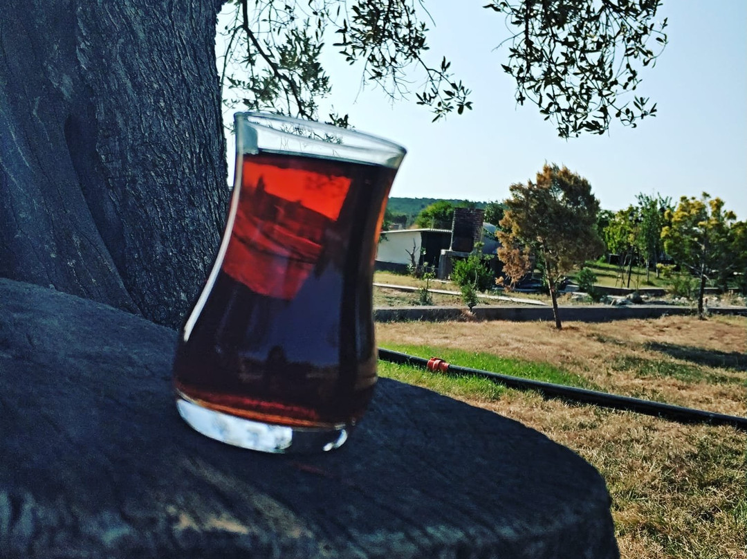 SIMLARDA 水上乐园酒店主图