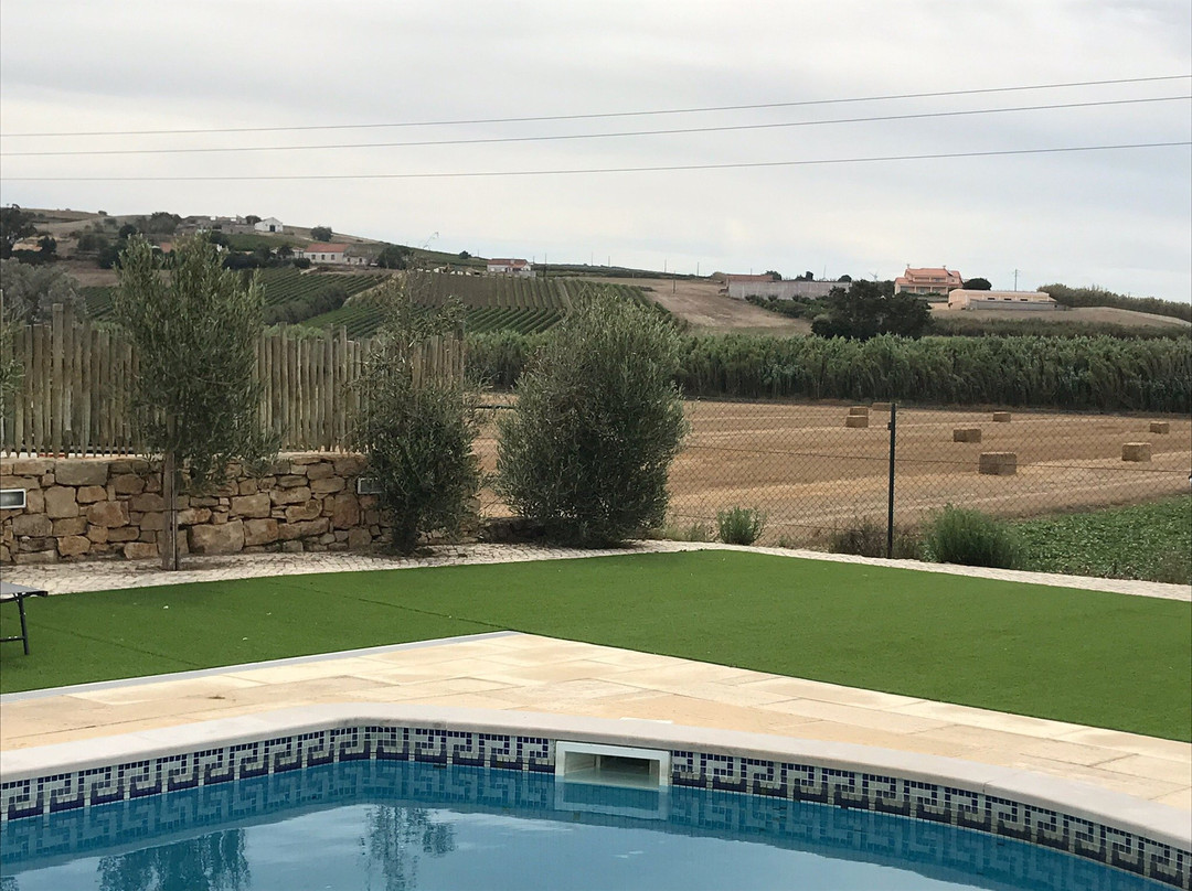Patio da Figueira主图