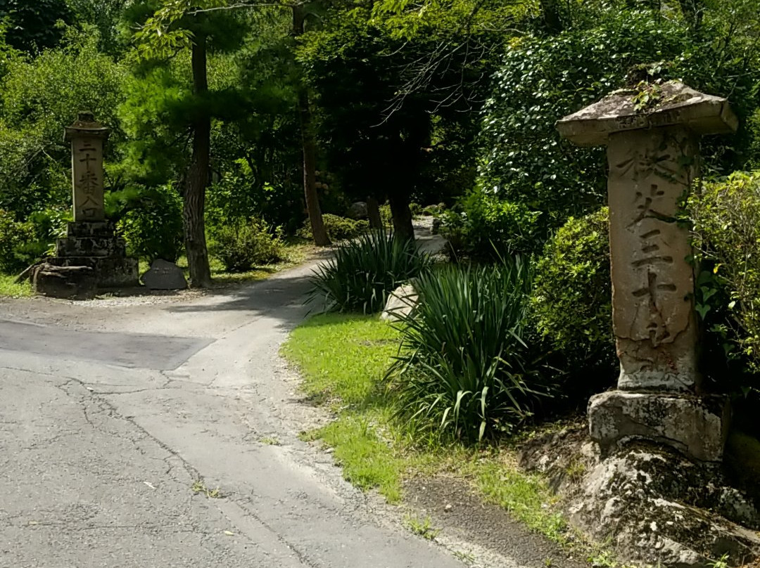Mt. Zuiryusan Hounji Temple - No. 30 Amulets Place景点图片