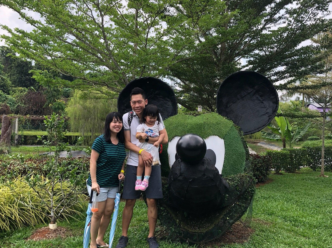 VH Green Nature Park-古晋必去景点