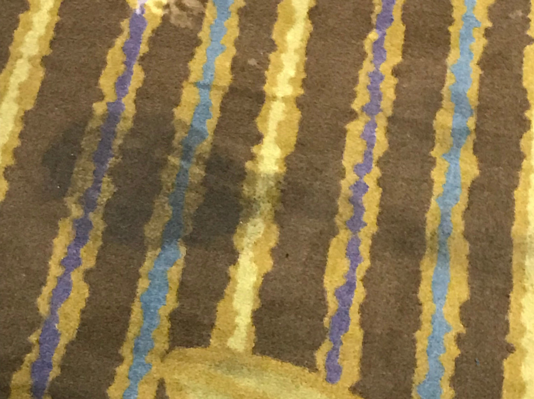 埃尔帕索机场浩枫温德姆公寓店主图