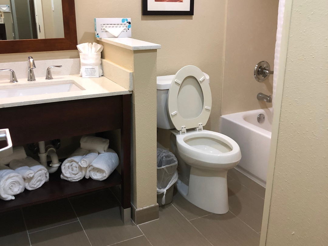 Comfort Inn Newport News/Williamsburg East主图