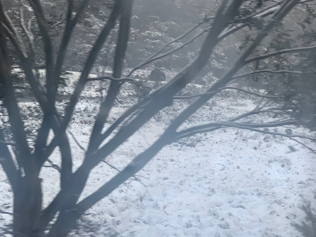 Snowy Mountains Motor Inn主图