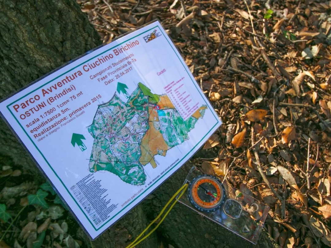 Ciuchino Birichino-奥斯图尼必去景点