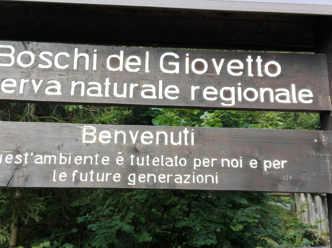 Riserva Naturale Boschi del Giovetto di Palline-Borno必去景点