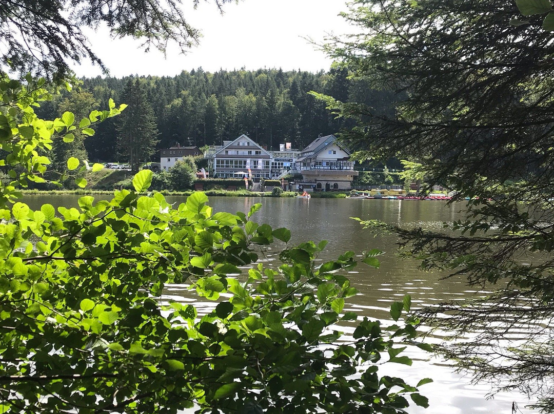 Schwaben Resort Ebnisee主图