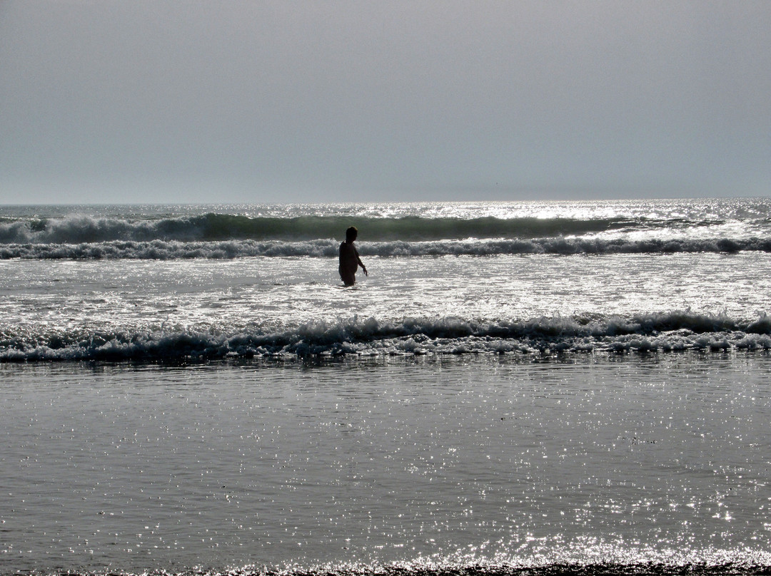 Plage de Vert Bois景点图片