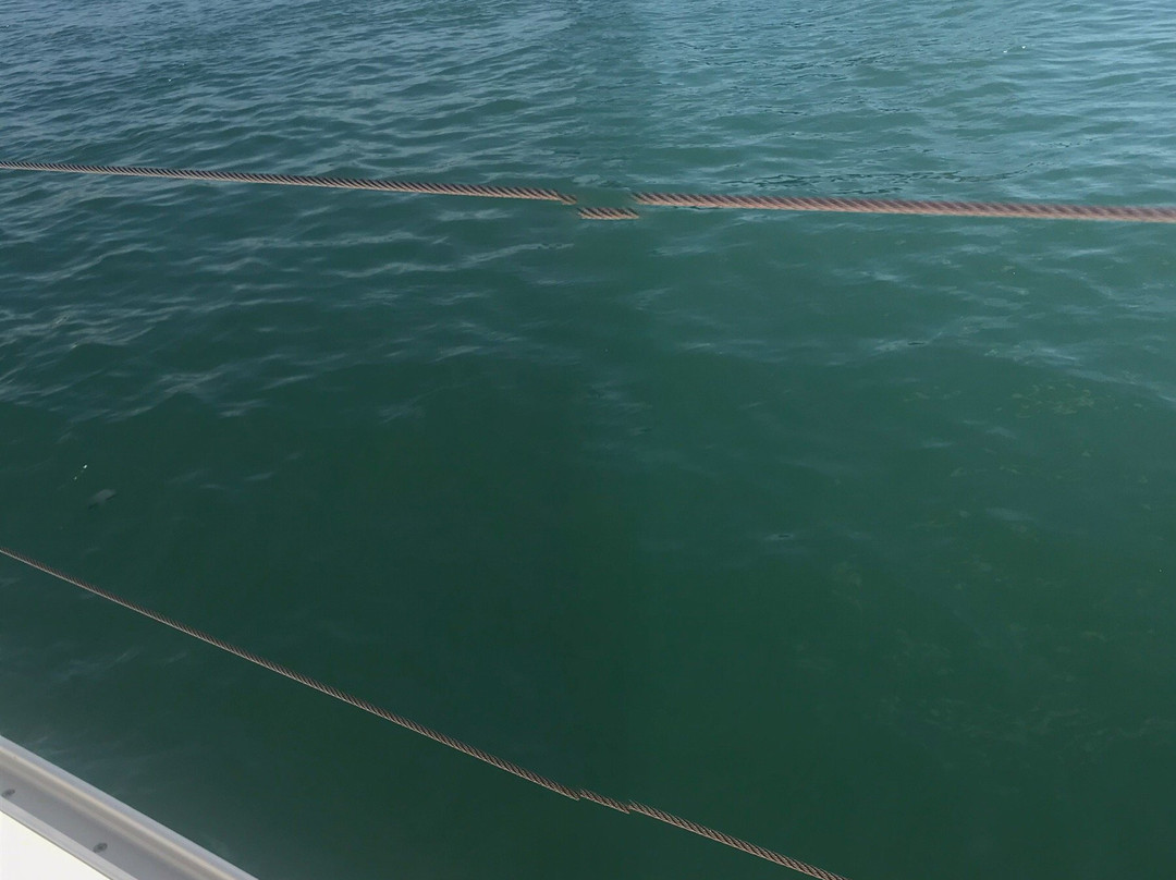 Barcelona Sailing Day-巴塞罗那必去景点