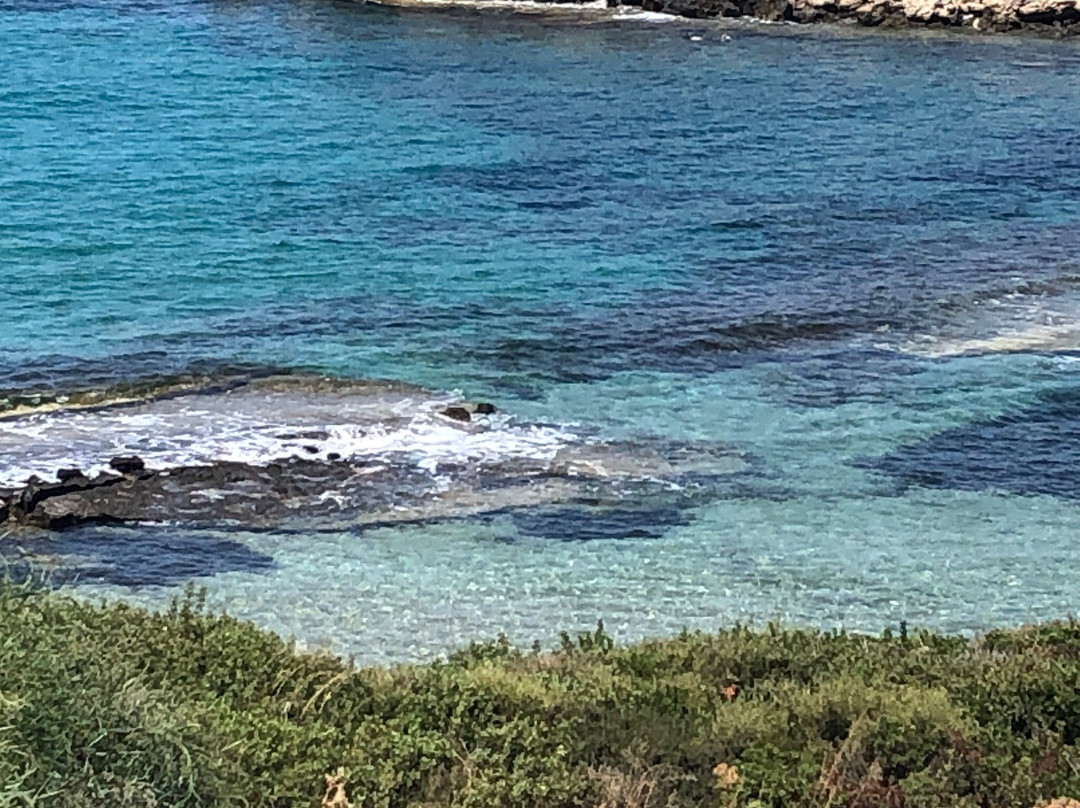 Balci Plaza Hotel & Restaurant - North Cyprus主图