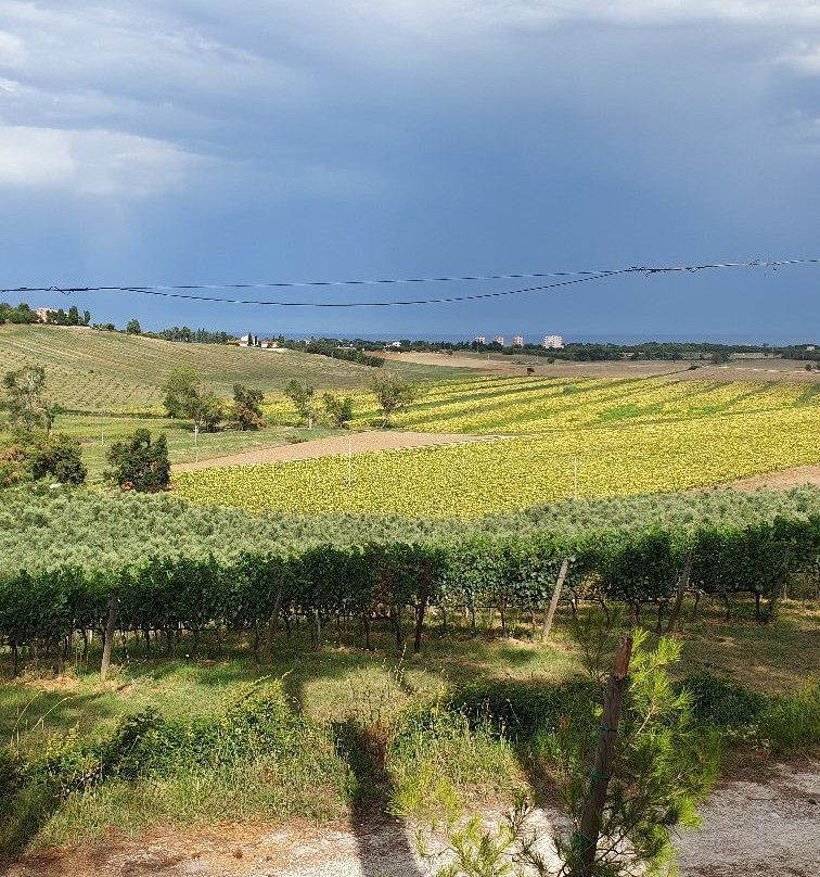 Fattoria le Terrazze-努马纳必去景点