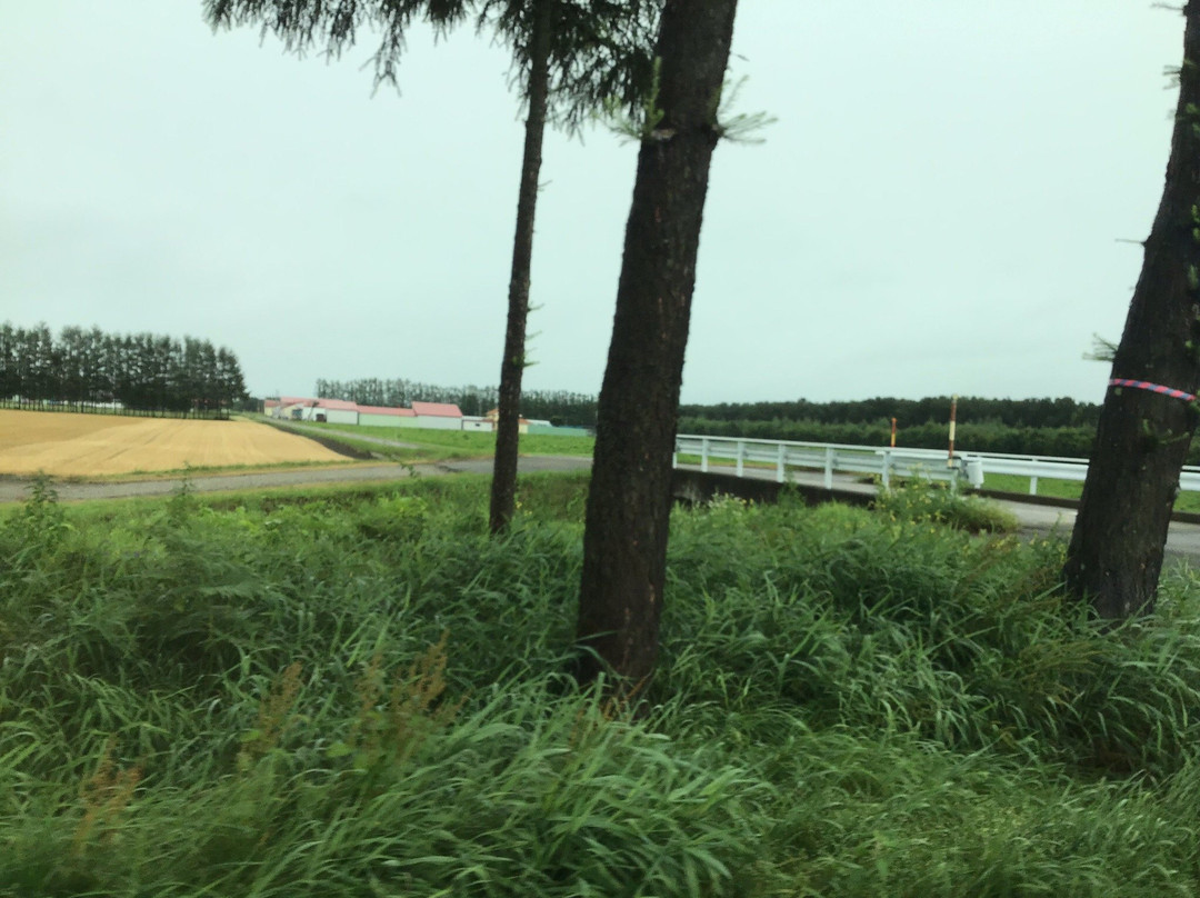 Glamping Resort Feriendorf主图