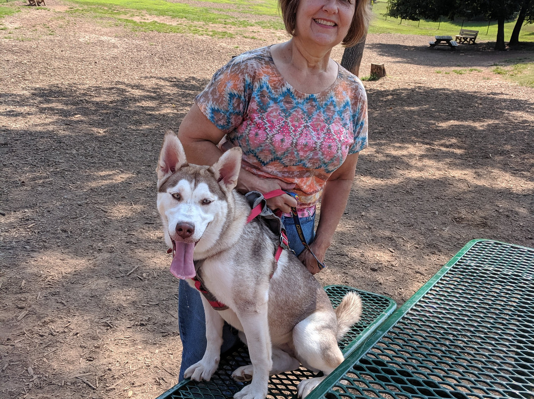 Swift-Cantrell Park-肯纳索必去景点