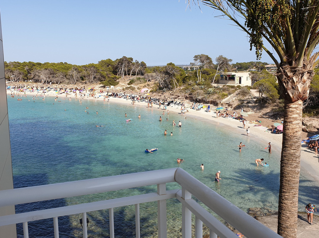 Universal Hotel Marqués主图