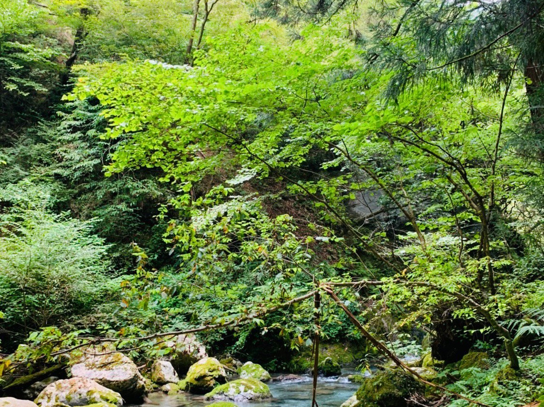 Kawachi Wind Cave景点图片