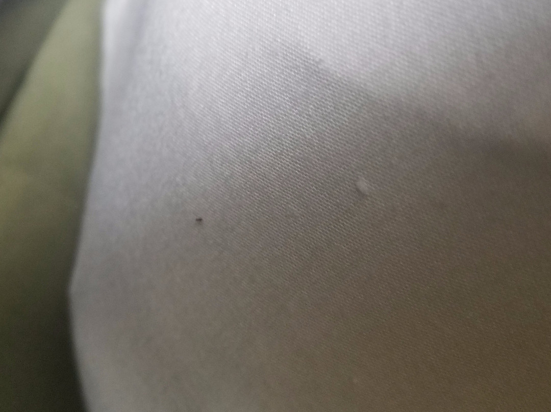 Best Western Luxbury Inn Fort Wayne主图