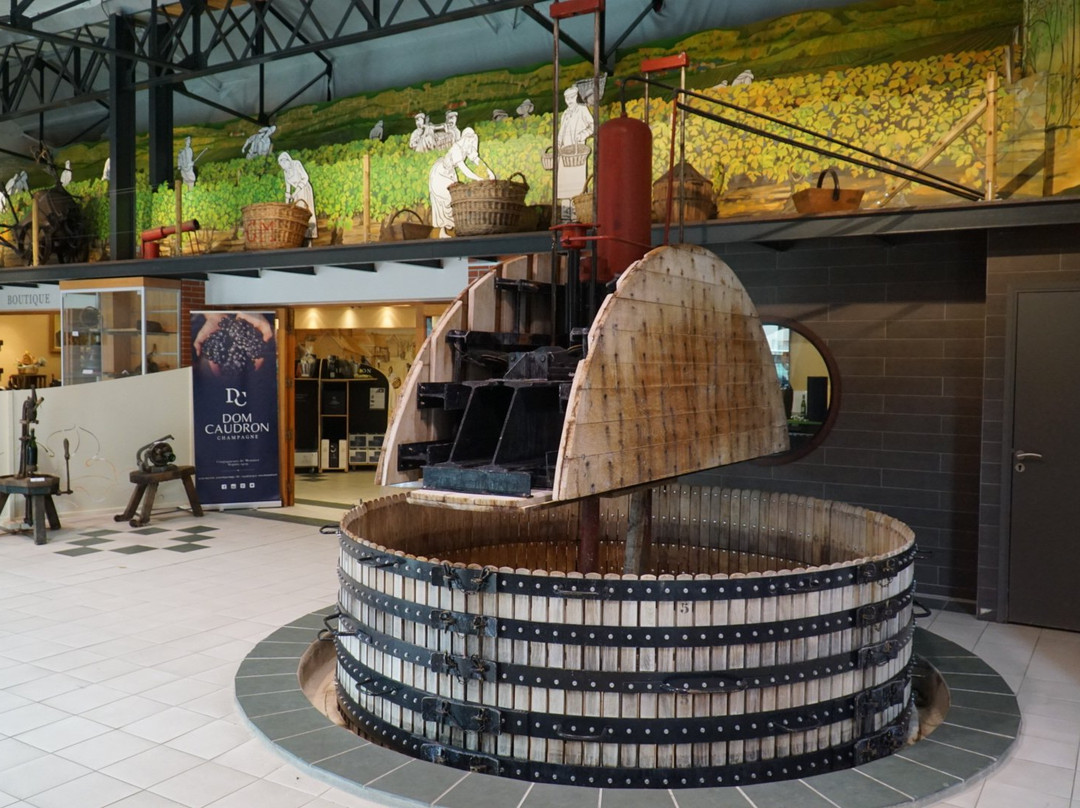 The Champagne Tour Co.-兰斯必去景点