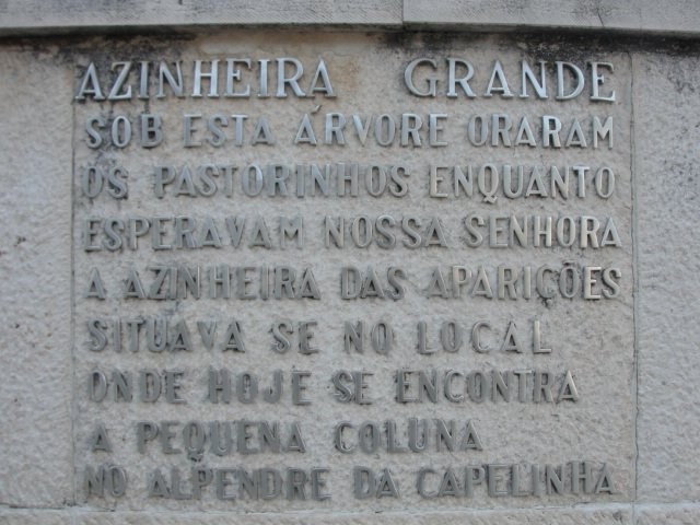 Azinheira Grande Centenaria-花地玛必去景点
