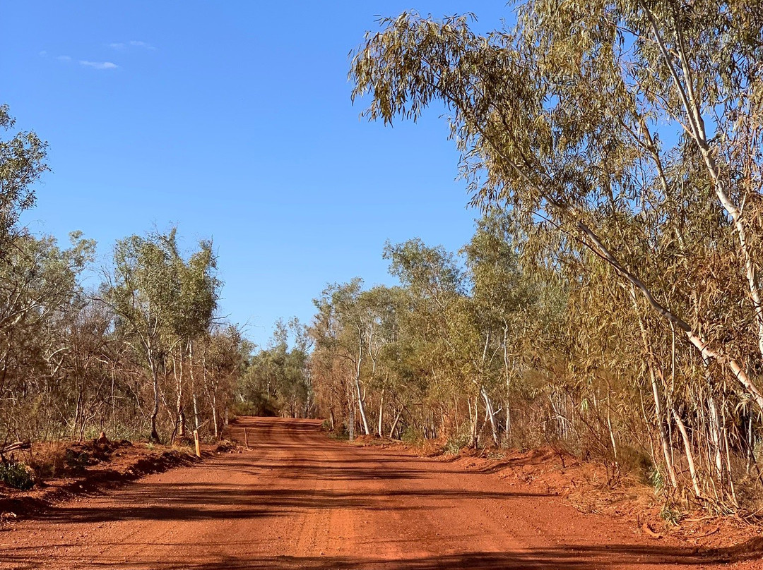 Millstream-Chichester National Park-卡拉萨必去景点