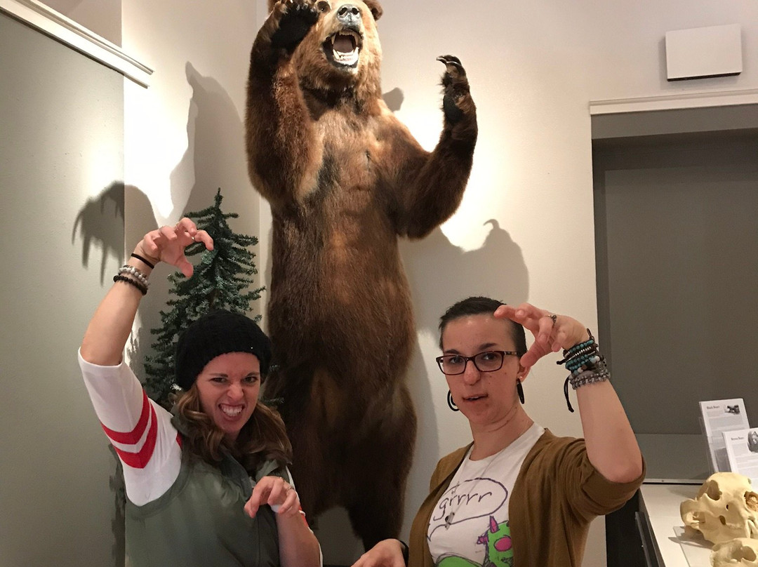 Skagway Museum and Archives-史凯威必去景点