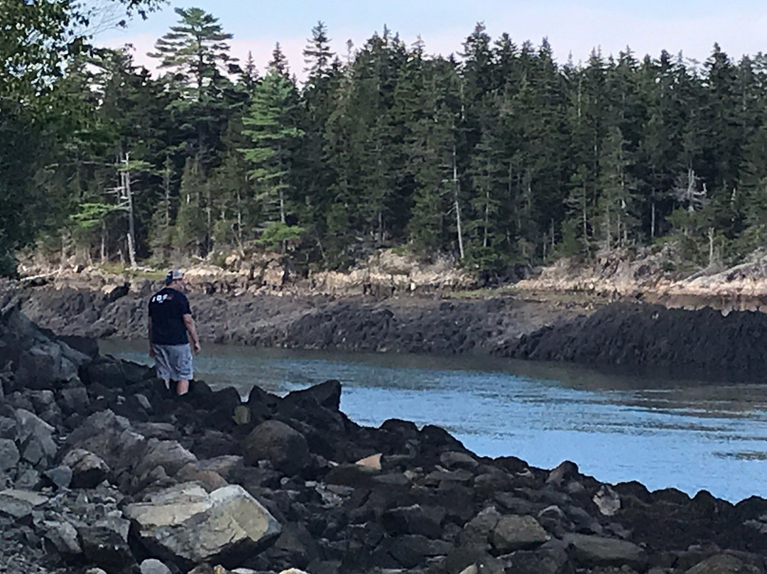 Reversing Falls Park-Pembroke必去景点