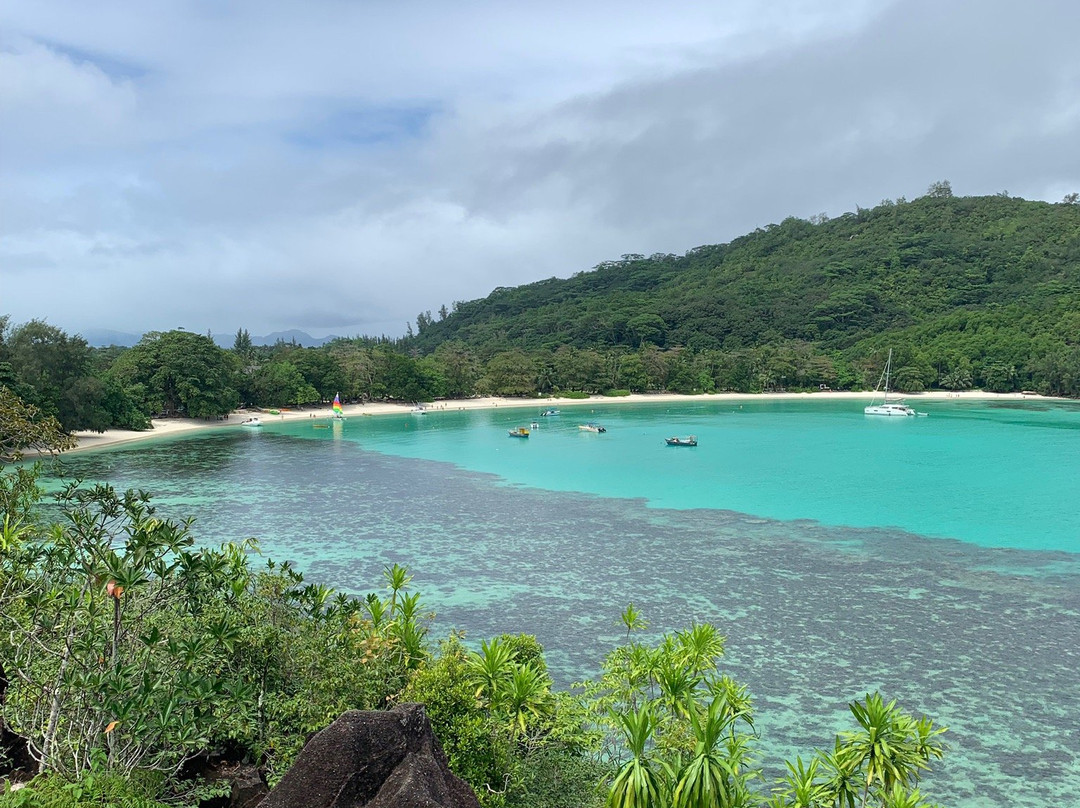 D&R Island Shuttle景点图片