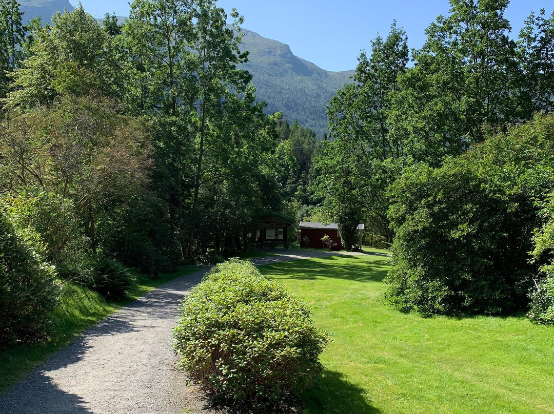 Svinviks Arboretum景点图片