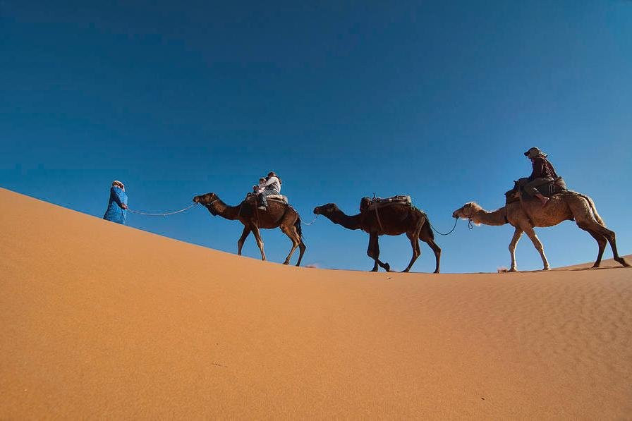 Merzouga Travel Tours景点图片