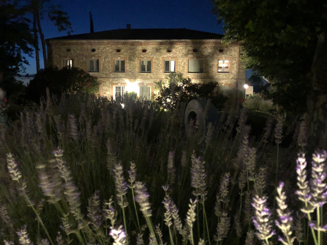 Château Les Oliviers De Salettes主图