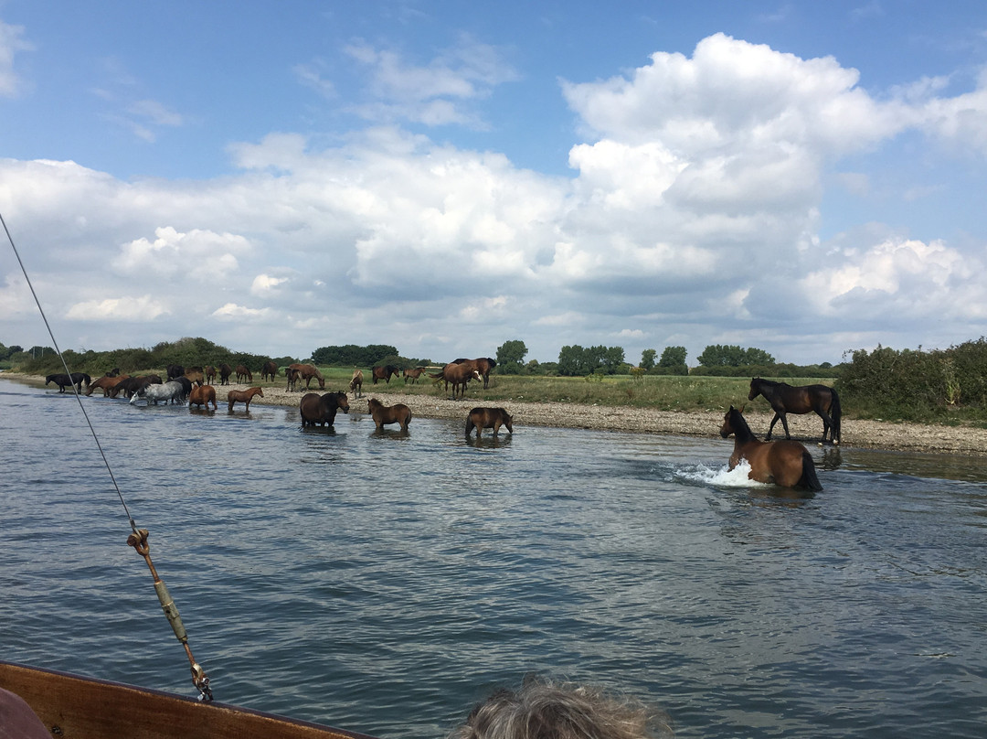 Bournemouth Boating Services-伯恩茅斯必去景点