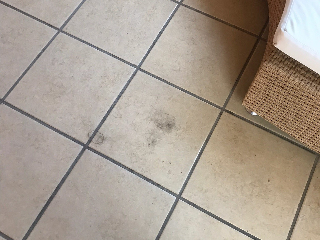 Hotel Palapa Palace主图