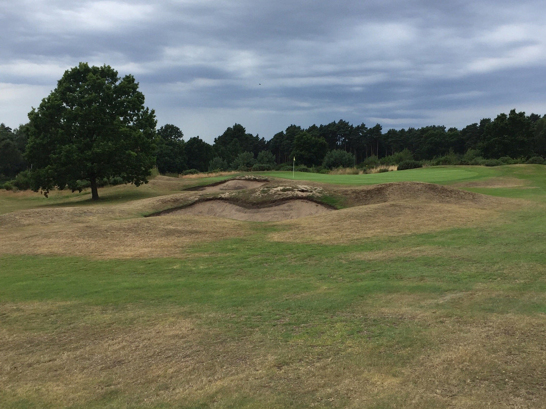 Market Rasen Golf Club景点图片
