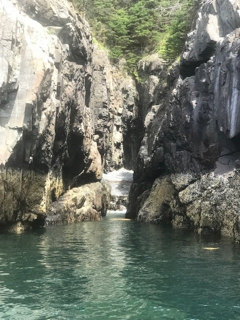 Sea Venture Boat Tours-巴港必去景点