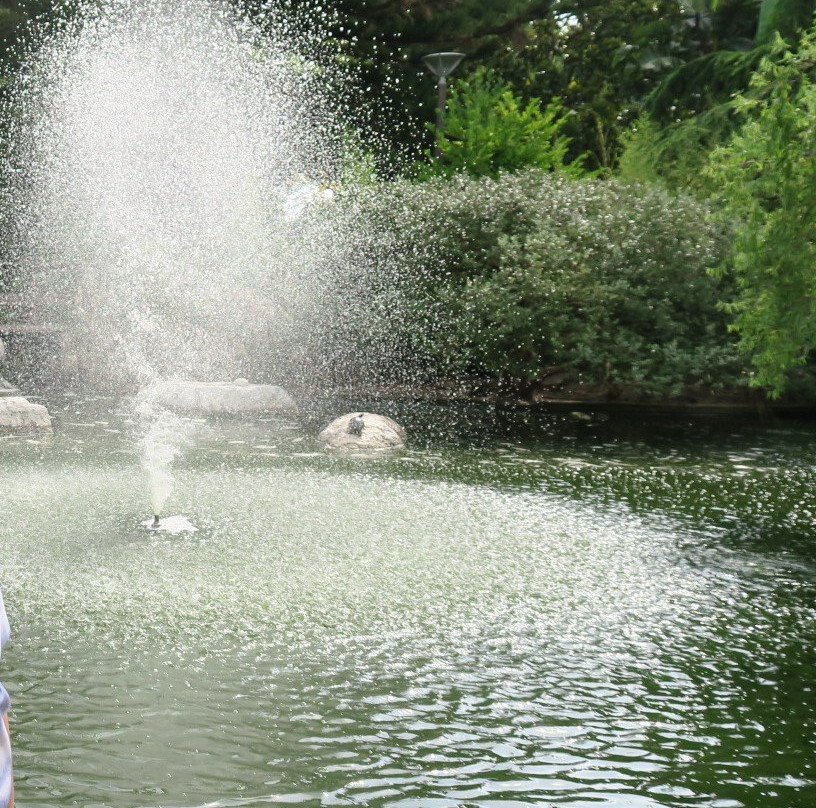 Jardin Aux Canards