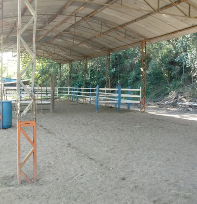 Haras Terra Nova Jundiaí-容迪亚伊必去景点