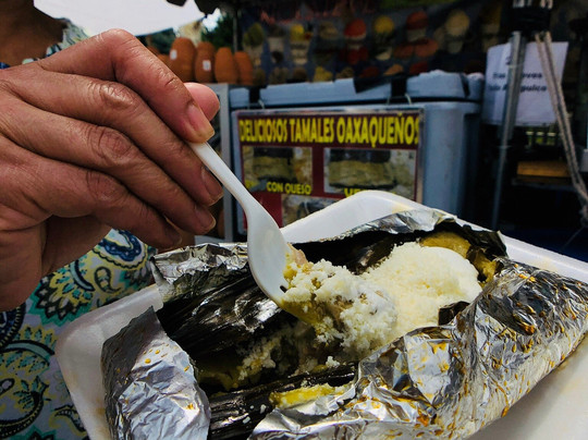 Fiesta del Sol-芝加哥必去景点