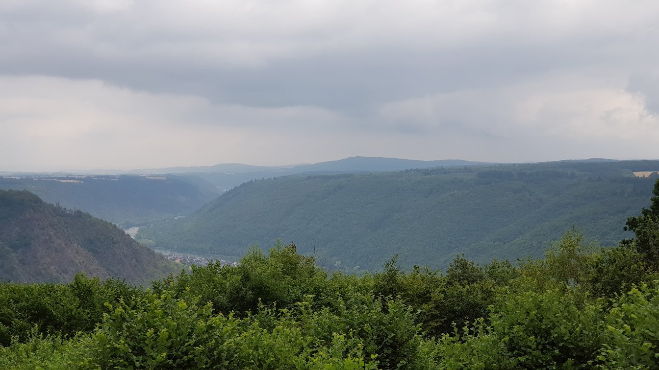 Zum Onkel Willi-官方