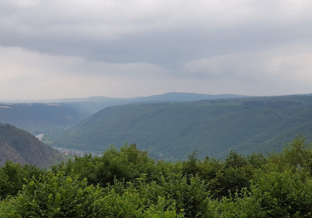 Zum Onkel Willi主图