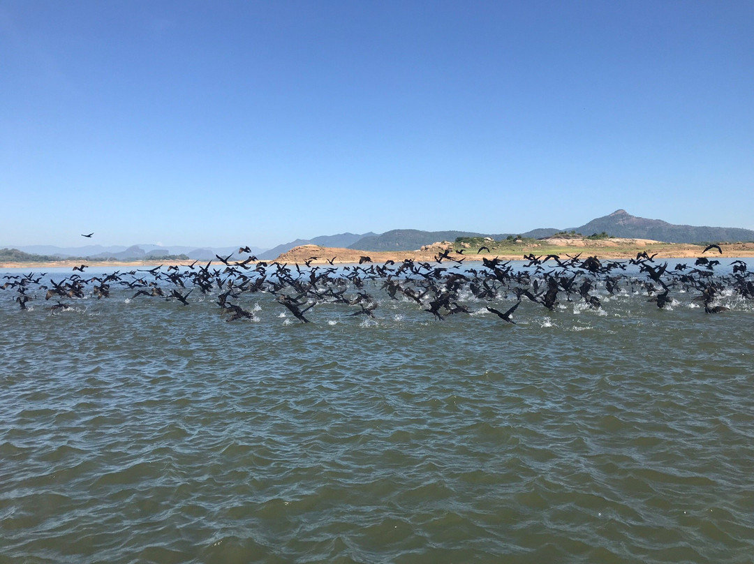 Rathnapriya Safari Guest Galoya主图