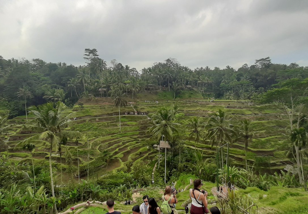 Green Bali Trekking景点图片