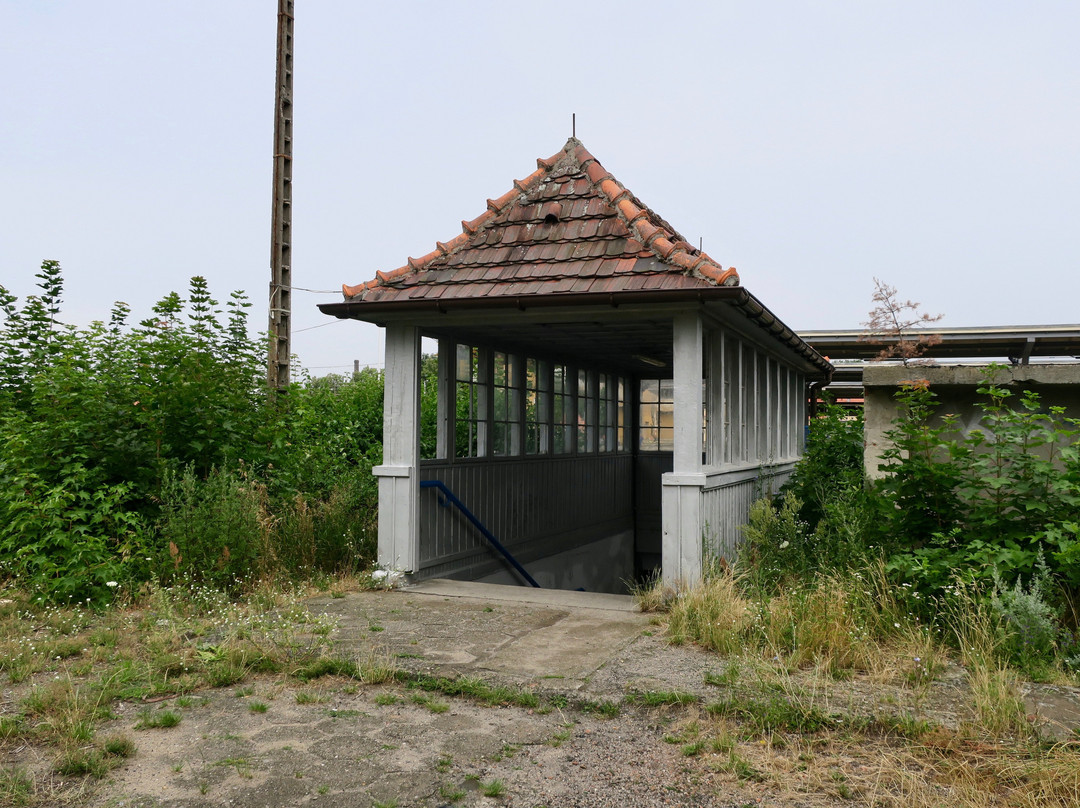Stalag Luft III Prisoner Camp Museum景点图片