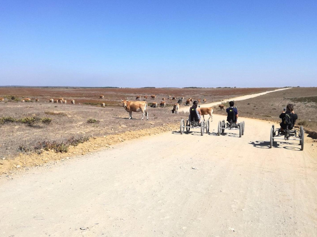 Wheels4Fun - QuadBike Tours-萨格里什必去景点