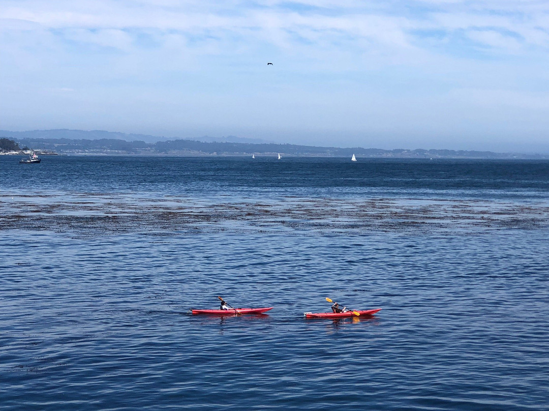 Santa Cruz Surfing Museum-圣克鲁斯必去景点