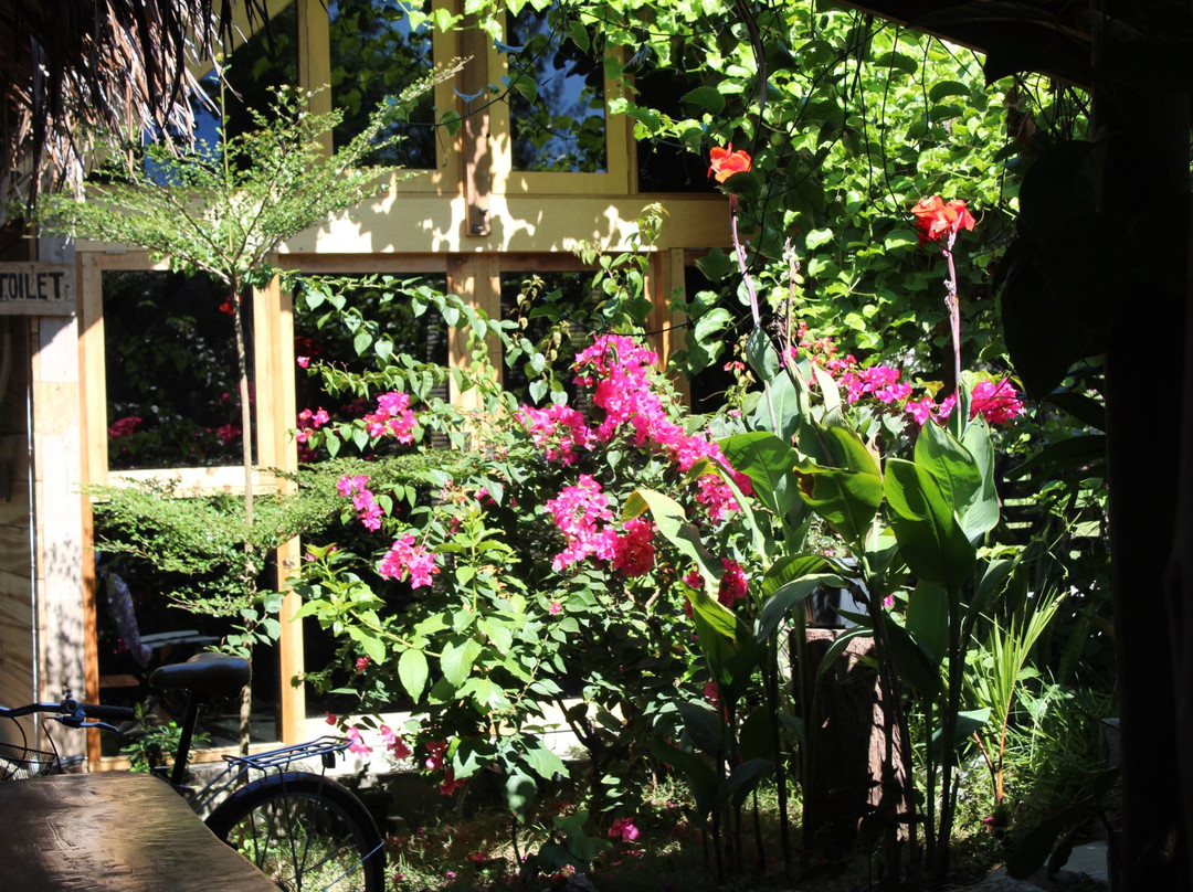 Saho Coffee & Roastery