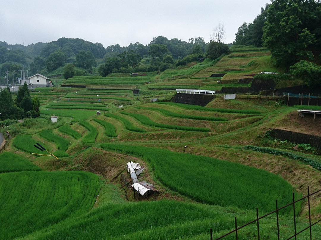 Shimoakasaka Tanada-千早赤阪村必去景点