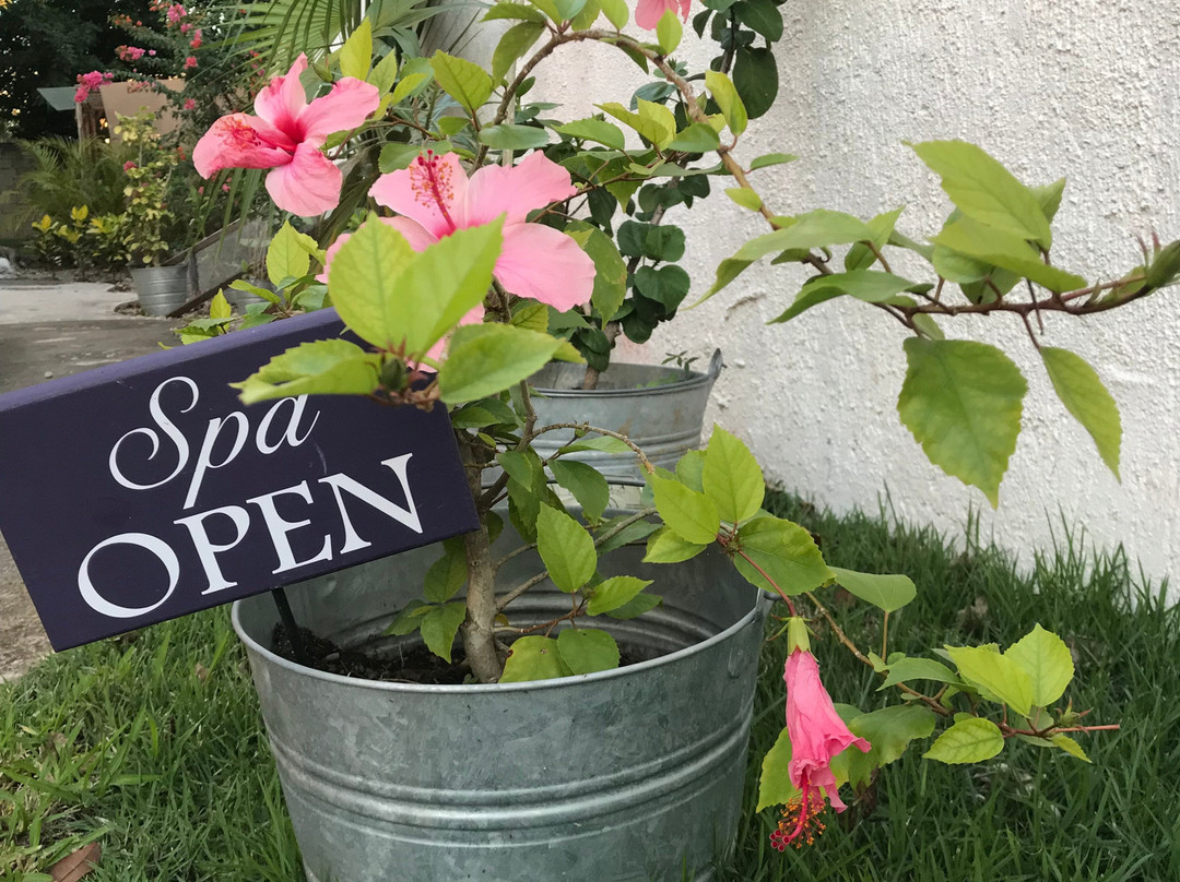 Ka'an Spa-从莫雷洛斯港必去景点