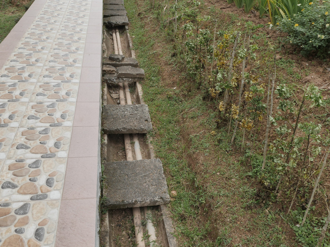 Toraja Heritage Hotel主图