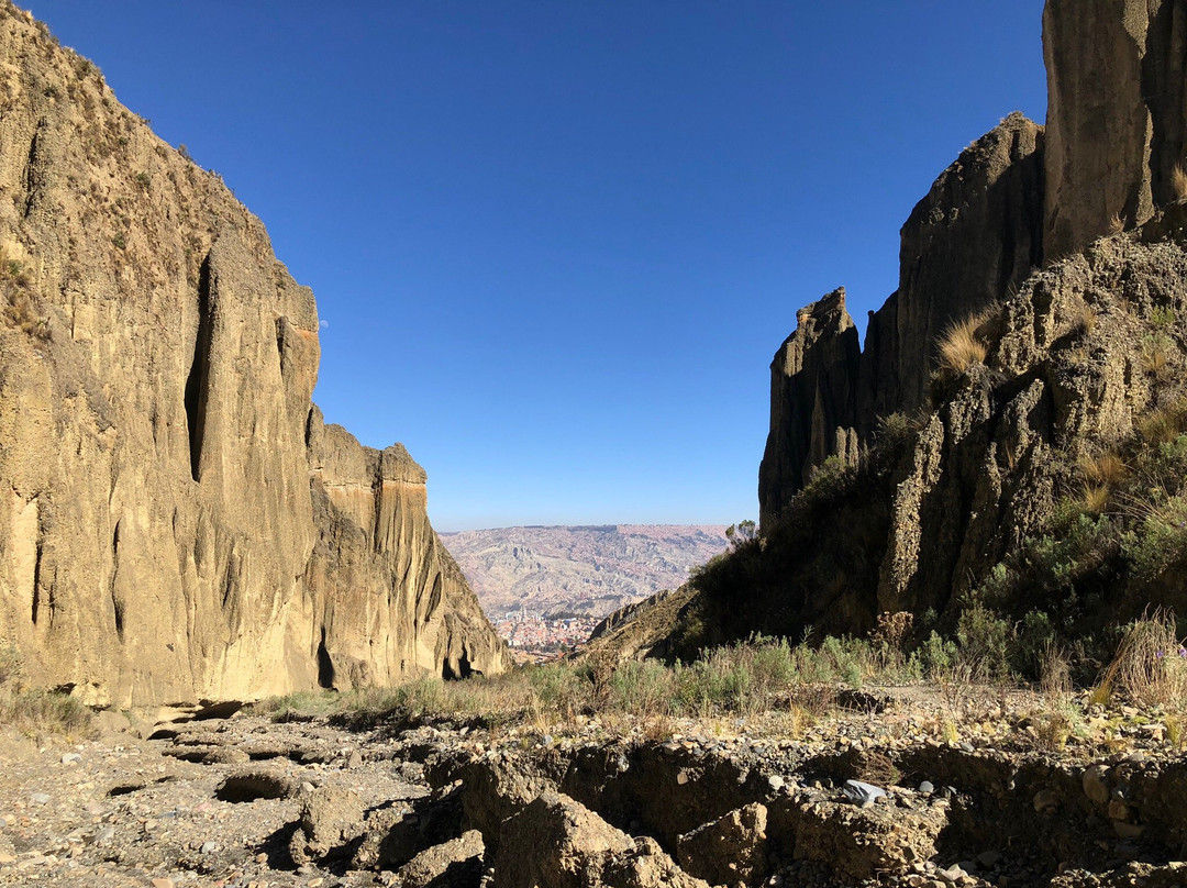 Valle de las Animas景点图片